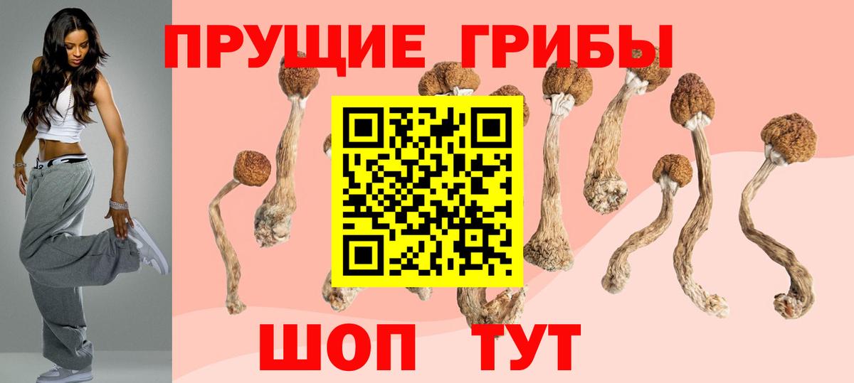 Солнечногорск  Псилоцибиновые грибы Cubensis  Вход с VPN  Псилоцибиновые грибы мицелий 